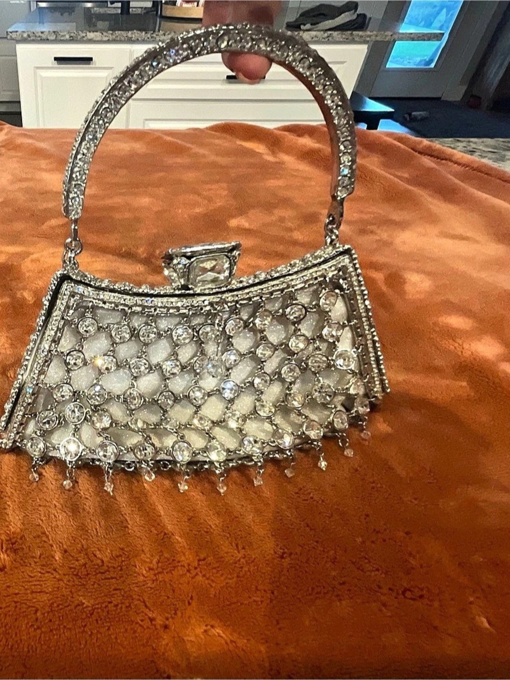 Clara Kasavina Silver Evening Bag - retired style -  circa 2007 - New